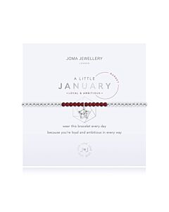 Joma Jewellery A Little Birthstone January